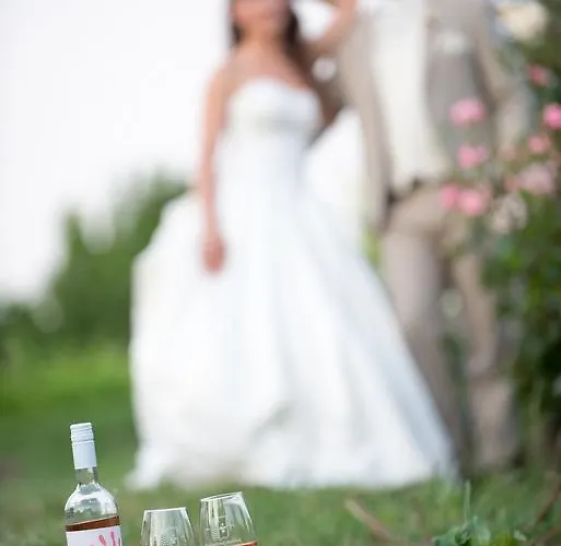 Panzió Juhfark és Borház Balatoncsicsó