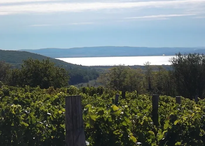 Panzió Juhfark és Borház Balatoncsicsó